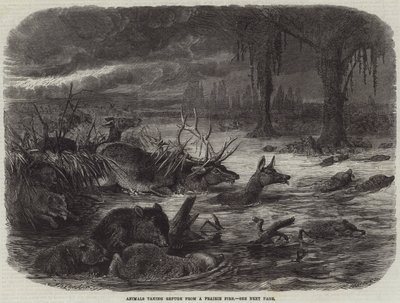 Animals taking Refuge from a Prairie Fire by Johann Baptist Zwecker